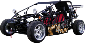 Goka Buggy buggy4fun