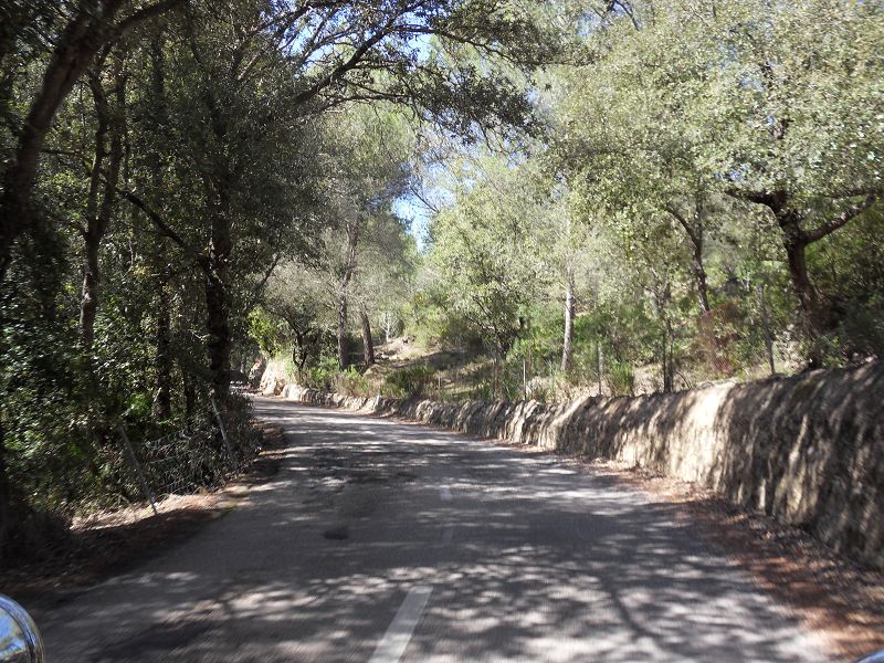 Bild vom Buggy Ausflug Tour2 Richtung Ermita de Betlem