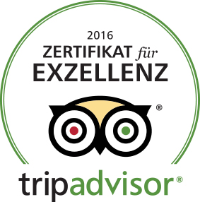 Auszeichnung Tripadvisor für Buggy4fun Can Picafort